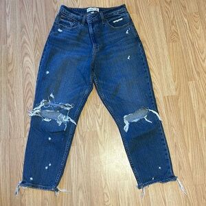 Abercrombie & Fitch The Mom High Rise, curve love. Size 28/6.